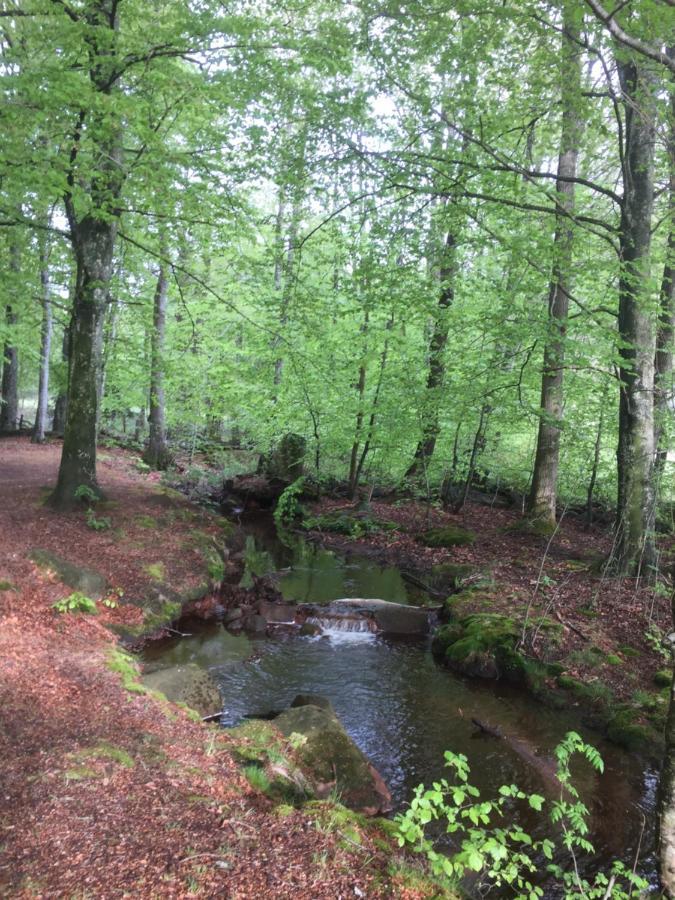 Doevared Tvååker Esterno foto